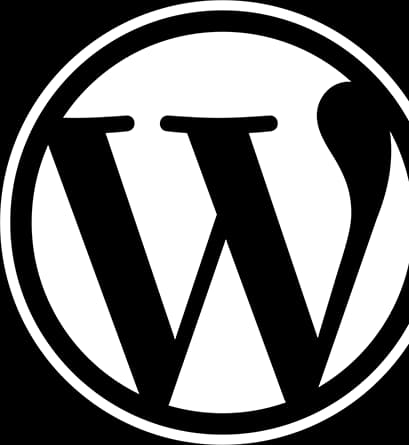 Banner WP Logo