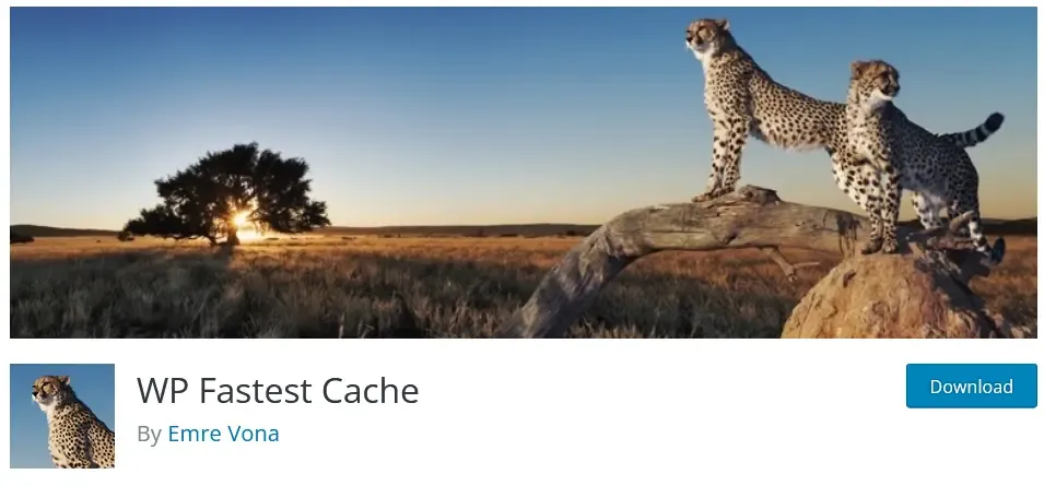 WP Fastest Cache