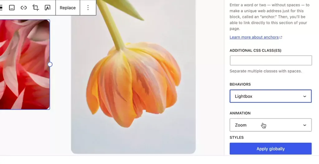 enhancement in user interactivity and functionality
