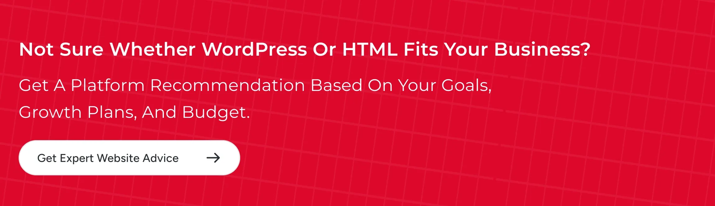 get expert website advice