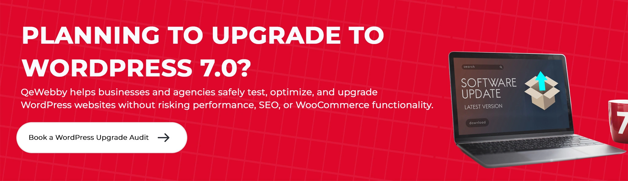 Book a wordpress upgrade audit