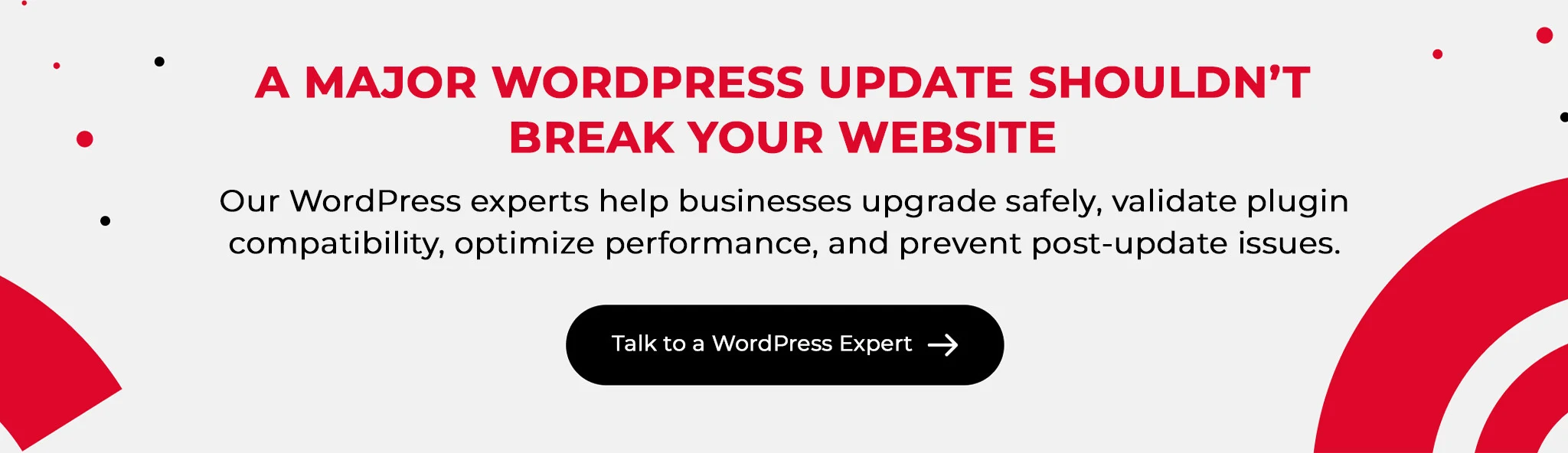 talk to a wordpress expert