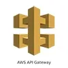 aws api