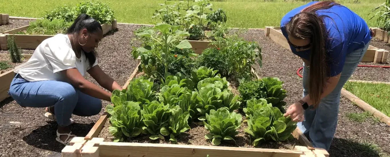 Community garden banner webp