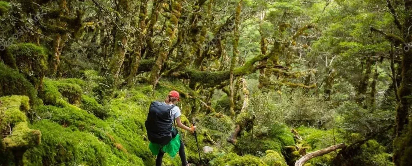Depositphotos 108483922 stock photo woman hiker with backpack walking Depositphotos 108483922 stock photo woman hiker with backpack walking