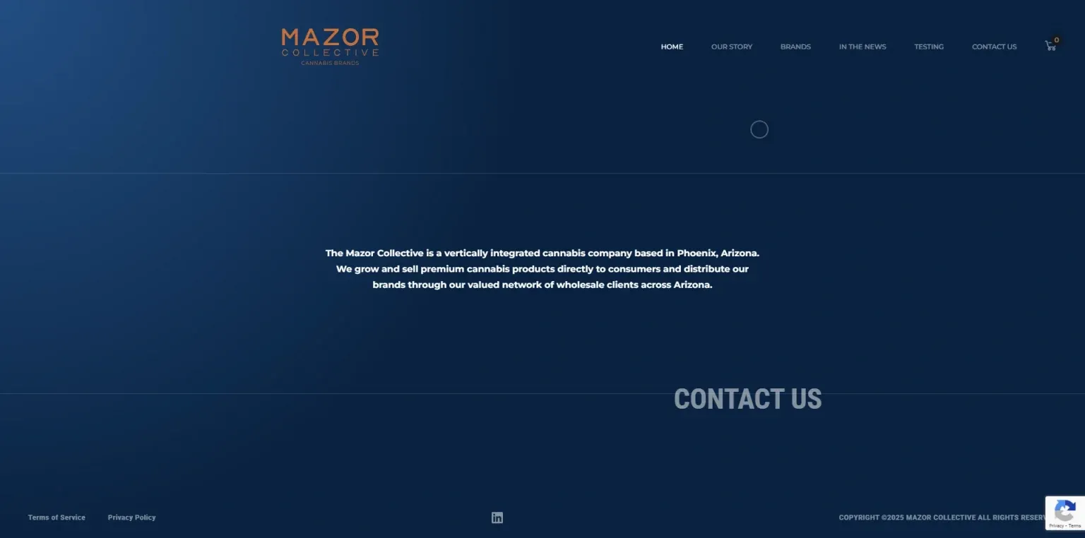 Mazorcollective 1 Mazorcollective 1