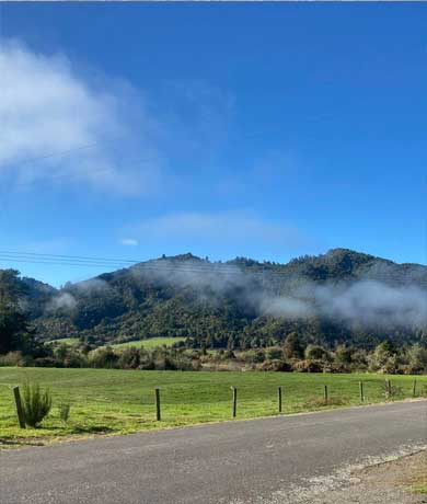 Whirinaki Forest Holidays