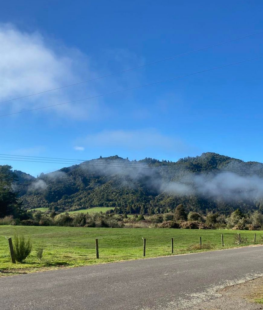 Whirinaki Forest Holidays